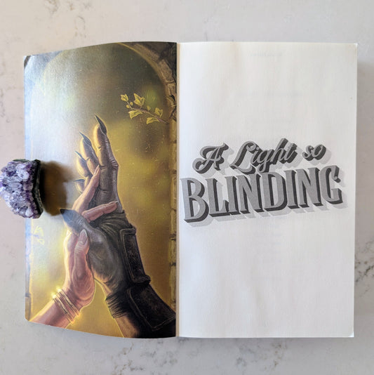 A Light So Blinding [Signed Paperback]